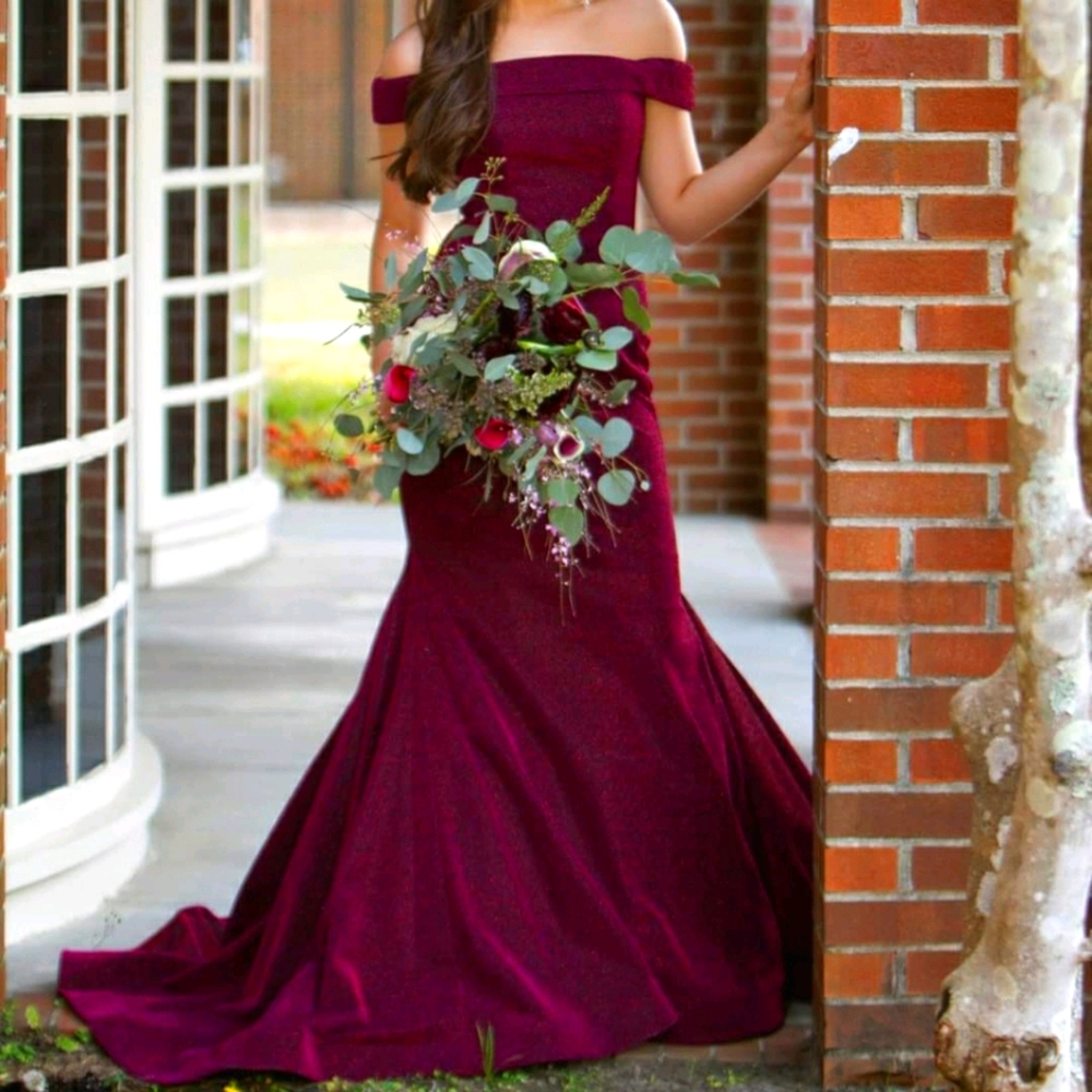 Ashley Lauren prom/pageant dress!